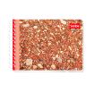 Imagen de CUADERNO ESPIRAL ITAL 100H C-7 MEGA