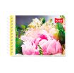 Imagen de CUADERNO ESPIRAL ITAL 100H C-7 MEGA