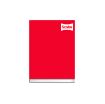 Imagen de CUADERNO COSIDO FRANCES PD 96H RAYAS CLASICO (2M)