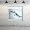 Imagen de PANTALLA DE PARED 70 1.78x1.78