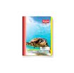 Imagen de LIBRETA COSIDA POCKET 100H RAYAS MEGA