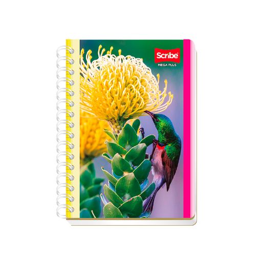 Imagen de CUADERNO ESPIRAL FRANCES 100H C-5 MEGA
