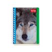 Imagen de CUADERNO ESPIRAL FRANCES 100H C-5 MEGA